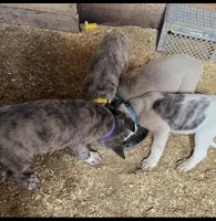 processed/a4b84342-866a-458b-8808-d83f11681bb2/facility/da2c711f-3f4c-4626-96c3-9d7c9c53ccbd