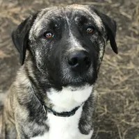 processed/a4b84342-866a-458b-8808-d83f11681bb2/facility/fc6d972b-830b-41a2-8581-fdd4e4a8b57e