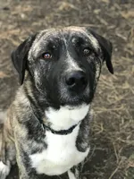 processed/a4b84342-866a-458b-8808-d83f11681bb2/facility/fc6d972b-830b-41a2-8581-fdd4e4a8b57e