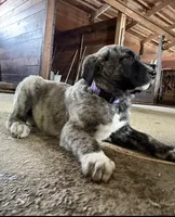 processed/a4b84342-866a-458b-8808-d83f11681bb2/listing/535116bc-4769-4d86-8e0c-fcbfdd75d1cf/4ff84b19-8e3f-480a-a456-545adbc3b437