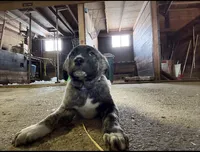 processed/a4b84342-866a-458b-8808-d83f11681bb2/listing/535116bc-4769-4d86-8e0c-fcbfdd75d1cf/61d6f400-157d-452f-b9cb-7797a8f9d527