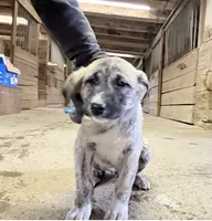 processed/a4b84342-866a-458b-8808-d83f11681bb2/listing/984369b7-1ecb-44e3-889d-06df440f9f62/6061621a-1f96-412c-a713-f2393a363eb1