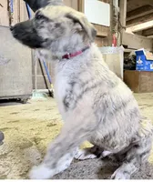 processed/a4b84342-866a-458b-8808-d83f11681bb2/listing/984369b7-1ecb-44e3-889d-06df440f9f62/a1abc835-f1e1-4e63-bdef-ff3d1d4bb693