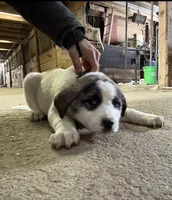 processed/a4b84342-866a-458b-8808-d83f11681bb2/listing/e73b9163-639b-4688-95d1-8d85c1be8f56/9742b083-f460-4315-bd14-79f226088a03