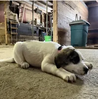 processed/a4b84342-866a-458b-8808-d83f11681bb2/listing/e73b9163-639b-4688-95d1-8d85c1be8f56/fffbb87a-2b00-4391-82d6-c2f067b93523