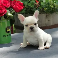 processed/a4c1cf1b-4804-4583-ab39-01b54730f9db/facility/08c6fbfe-c152-4c61-b258-2abf3ecd83ba