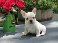 processed/a4c1cf1b-4804-4583-ab39-01b54730f9db/facility/08c6fbfe-c152-4c61-b258-2abf3ecd83ba