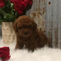 processed/a4c1cf1b-4804-4583-ab39-01b54730f9db/facility/0ace6622-333f-43c9-9f74-ea4d130acc38