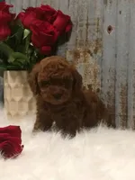 processed/a4c1cf1b-4804-4583-ab39-01b54730f9db/facility/0ace6622-333f-43c9-9f74-ea4d130acc38