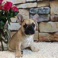 processed/a4c1cf1b-4804-4583-ab39-01b54730f9db/facility/2410d01c-4255-4cf3-a301-56ea615f215a