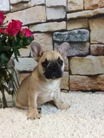 processed/a4c1cf1b-4804-4583-ab39-01b54730f9db/facility/2410d01c-4255-4cf3-a301-56ea615f215a