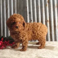 processed/a4c1cf1b-4804-4583-ab39-01b54730f9db/facility/3715b9b4-0df0-4d41-94fc-e4a8ec08362d