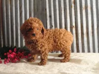 processed/a4c1cf1b-4804-4583-ab39-01b54730f9db/facility/3715b9b4-0df0-4d41-94fc-e4a8ec08362d