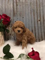 processed/a4c1cf1b-4804-4583-ab39-01b54730f9db/facility/98d342c2-ecc3-4a0b-a0dc-19f11531ac49