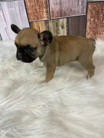 processed/a4c1cf1b-4804-4583-ab39-01b54730f9db/listing/152c9d74-ba2b-49de-a292-46bab5fade4e/5959a5e9-810a-4436-a2db-22447d573ab9