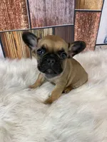 processed/a4c1cf1b-4804-4583-ab39-01b54730f9db/listing/152c9d74-ba2b-49de-a292-46bab5fade4e/5d0d9af7-141a-4dfb-ab16-fe9bfc3f0442