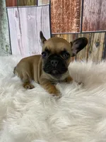 processed/a4c1cf1b-4804-4583-ab39-01b54730f9db/listing/152c9d74-ba2b-49de-a292-46bab5fade4e/c2550e50-f312-45a7-931c-61a5b55690e4