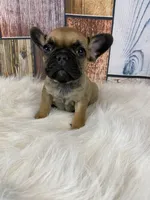 processed/a4c1cf1b-4804-4583-ab39-01b54730f9db/listing/152c9d74-ba2b-49de-a292-46bab5fade4e/e8d3105f-c42e-41b1-a434-ac5704981613