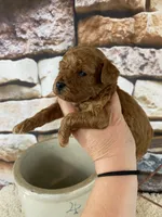 processed/a4c1cf1b-4804-4583-ab39-01b54730f9db/listing/21958f87-b035-4b64-9b4d-e30c6d11f199/79311698-78ff-4564-9bf6-e7a1dc64c077