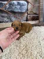 processed/a4c1cf1b-4804-4583-ab39-01b54730f9db/listing/21958f87-b035-4b64-9b4d-e30c6d11f199/9360b9ac-63c6-42db-af2f-aaea4edf5127