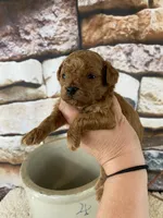 processed/a4c1cf1b-4804-4583-ab39-01b54730f9db/listing/21958f87-b035-4b64-9b4d-e30c6d11f199/b615a28e-33cc-4045-8aa2-a19a6f7d1487