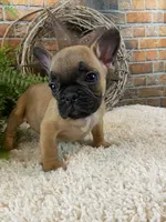 processed/a4c1cf1b-4804-4583-ab39-01b54730f9db/listing/5e3337f5-198c-40f1-be48-8d6c28167c1a/3431457d-8be4-450a-a603-f942f6fd3a4e