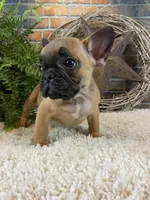 processed/a4c1cf1b-4804-4583-ab39-01b54730f9db/listing/5e3337f5-198c-40f1-be48-8d6c28167c1a/5f5656d8-cefe-4e98-a370-045b02f9d95b