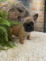 processed/a4c1cf1b-4804-4583-ab39-01b54730f9db/listing/5e3337f5-198c-40f1-be48-8d6c28167c1a/85f39af5-5393-4999-bcaa-05818049fe34