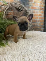 processed/a4c1cf1b-4804-4583-ab39-01b54730f9db/listing/5e3337f5-198c-40f1-be48-8d6c28167c1a/c9efe1f1-902d-420c-87ae-6f2de32fb2cb