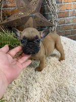 processed/a4c1cf1b-4804-4583-ab39-01b54730f9db/listing/5e3337f5-198c-40f1-be48-8d6c28167c1a/fca3d6b6-c19e-4a67-a02d-9f2f9d368042