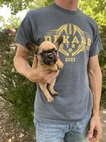 Cali REDUCED, a female French Bulldog for sale in Saint Joseph, MO – Photo 2 of 7