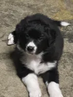 processed/a4c2f06e-254a-4faf-963a-51b4b0a67bc9/listing/940af6dc-83b1-4729-ae72-4c61d2cbea28/4425d52c-62b7-4f9f-b32a-621d227cb603