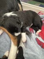 processed/a4c2f06e-254a-4faf-963a-51b4b0a67bc9/listing/940af6dc-83b1-4729-ae72-4c61d2cbea28/72668128-35b9-4419-bca3-2f6ccd24eacc