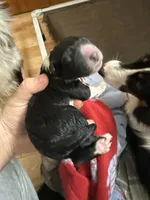 processed/a4c2f06e-254a-4faf-963a-51b4b0a67bc9/listing/940af6dc-83b1-4729-ae72-4c61d2cbea28/7e4c11b4-d58b-4465-b17f-bf40503dd2e3