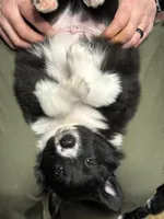 processed/a4c2f06e-254a-4faf-963a-51b4b0a67bc9/listing/940af6dc-83b1-4729-ae72-4c61d2cbea28/813a5f36-2490-4d1b-8c21-65595679644e