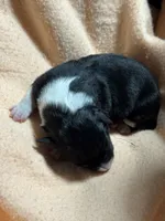 processed/a4c2f06e-254a-4faf-963a-51b4b0a67bc9/listing/940af6dc-83b1-4729-ae72-4c61d2cbea28/d4b7f06d-d74a-4c2c-a1a5-73f6cc6e3dbc