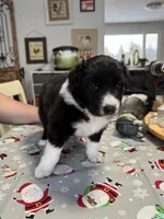 processed/a4c2f06e-254a-4faf-963a-51b4b0a67bc9/listing/940af6dc-83b1-4729-ae72-4c61d2cbea28/e79fa87e-a382-49c3-88f3-e047870ff828