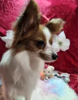 processed/a4c7719a-8c1c-40f6-a437-e244a32b941a/listing/46438ba7-b190-4702-b5d8-73a65c5b88aa/40545049-cab2-4bf9-a233-0d3b47ad8eb8