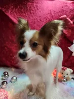 processed/a4c7719a-8c1c-40f6-a437-e244a32b941a/listing/46438ba7-b190-4702-b5d8-73a65c5b88aa/729b7228-af7a-4367-a89d-680eb2c1c815