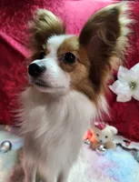 processed/a4c7719a-8c1c-40f6-a437-e244a32b941a/listing/46438ba7-b190-4702-b5d8-73a65c5b88aa/7bc91986-d32b-451e-88f8-8e59672aeeb3