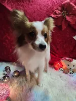 processed/a4c7719a-8c1c-40f6-a437-e244a32b941a/listing/46438ba7-b190-4702-b5d8-73a65c5b88aa/b502e6a2-0d2c-4559-ba27-48dccd68ec06