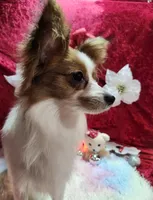 processed/a4c7719a-8c1c-40f6-a437-e244a32b941a/listing/46438ba7-b190-4702-b5d8-73a65c5b88aa/ffa27253-f0b3-420f-aada-2b3bfa70c320