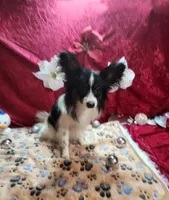 processed/a4c7719a-8c1c-40f6-a437-e244a32b941a/listing/4a4fdcd1-7c25-4091-9e37-e99e261e1c2b/0bbf15a3-c571-413e-9030-b03c7bc4e849