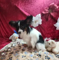 processed/a4c7719a-8c1c-40f6-a437-e244a32b941a/listing/4a4fdcd1-7c25-4091-9e37-e99e261e1c2b/1dff3087-f546-4f25-9e33-1154ad832c0e