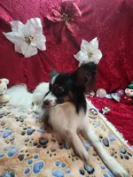 processed/a4c7719a-8c1c-40f6-a437-e244a32b941a/listing/4a4fdcd1-7c25-4091-9e37-e99e261e1c2b/31f81b8e-16b8-47b7-860c-86f13041cd16