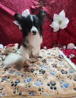 processed/a4c7719a-8c1c-40f6-a437-e244a32b941a/listing/4a4fdcd1-7c25-4091-9e37-e99e261e1c2b/8fff20a4-8d56-42e0-8a5a-2f52388c3c0b