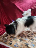 processed/a4c7719a-8c1c-40f6-a437-e244a32b941a/listing/4a4fdcd1-7c25-4091-9e37-e99e261e1c2b/9a62090f-6463-479d-977d-c50ef8231ab5