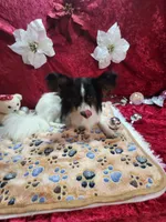 processed/a4c7719a-8c1c-40f6-a437-e244a32b941a/listing/4a4fdcd1-7c25-4091-9e37-e99e261e1c2b/d1654016-68d6-4a90-a7cb-2e85e667306f