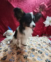 processed/a4c7719a-8c1c-40f6-a437-e244a32b941a/listing/4a4fdcd1-7c25-4091-9e37-e99e261e1c2b/d96713a4-e2fe-4e75-ac23-52ec49a038bf