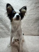 processed/a4c7719a-8c1c-40f6-a437-e244a32b941a/listing/ba8c8c0a-6bac-4571-8598-06f5ca184be3/3271c281-d915-4f85-9cf0-a84b947819a4